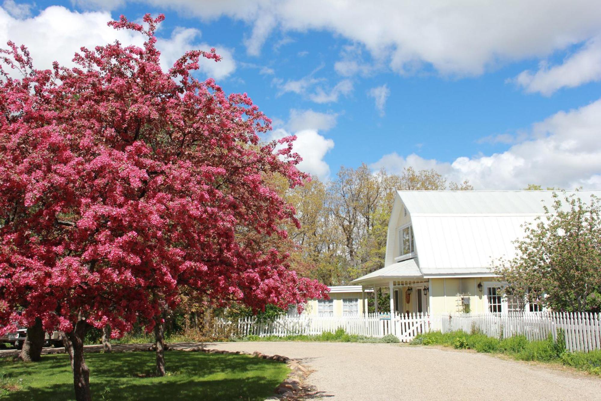 Blue Lake Ranch Hesperus Εξωτερικό φωτογραφία