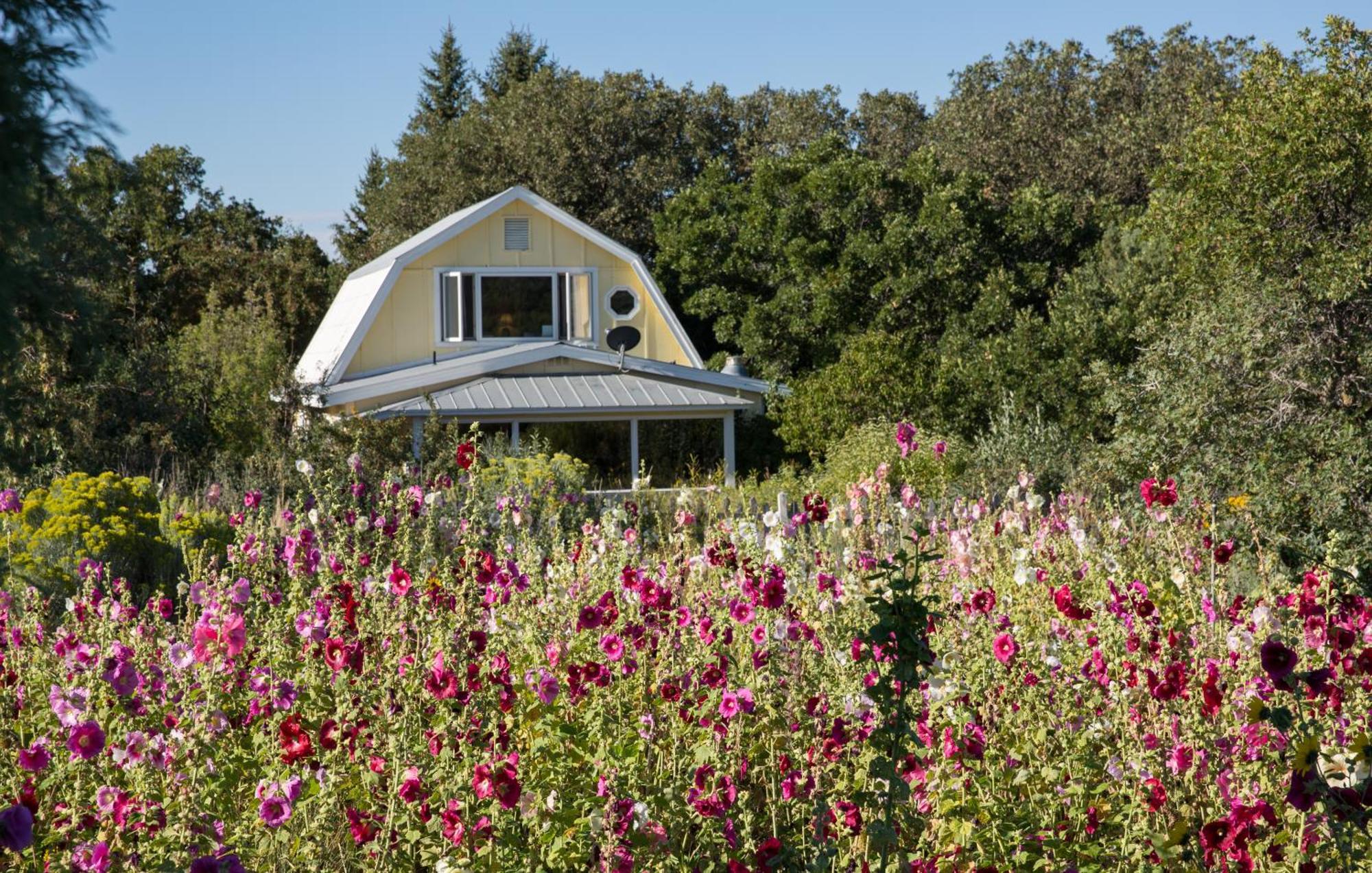 Blue Lake Ranch Hesperus Εξωτερικό φωτογραφία